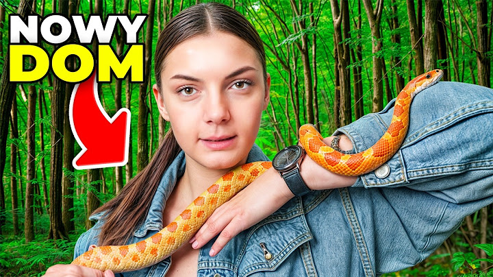 NOWY DOM DLA NASZEGO WĘŻA 🐍🌷🐥