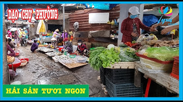 Chợ Phường Phan Thiết Đầy Ắp Hải Sản Tôm Cá Ghẹ Tươi Ngon Giá Rẻ Bất Ngon