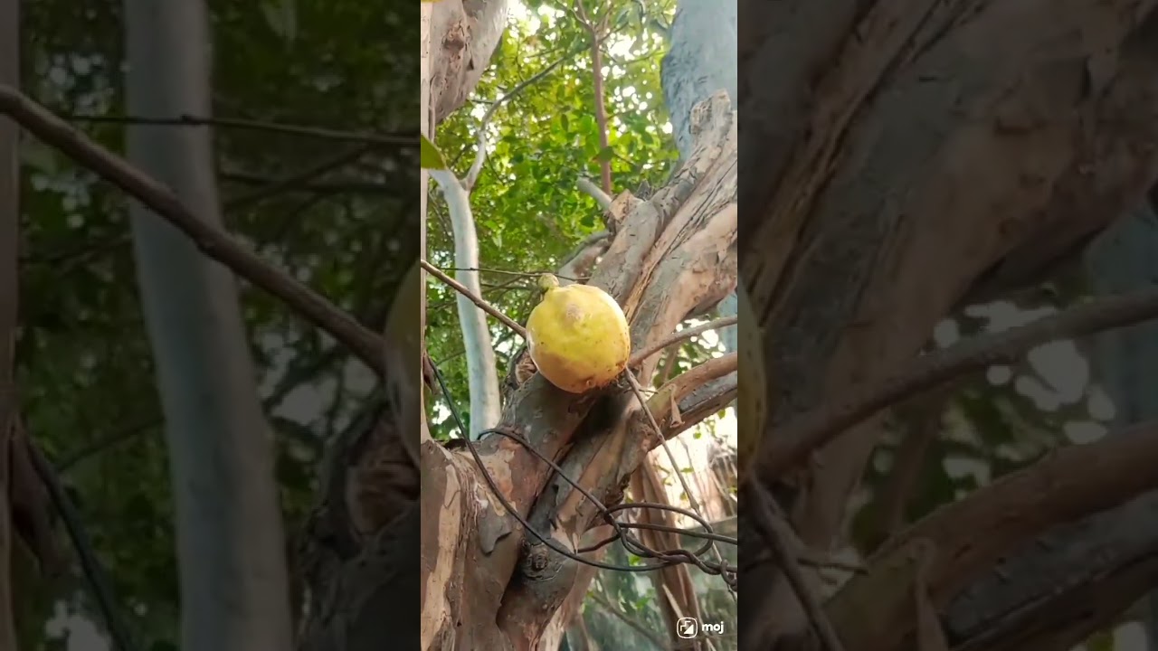 #mhcreativecreations