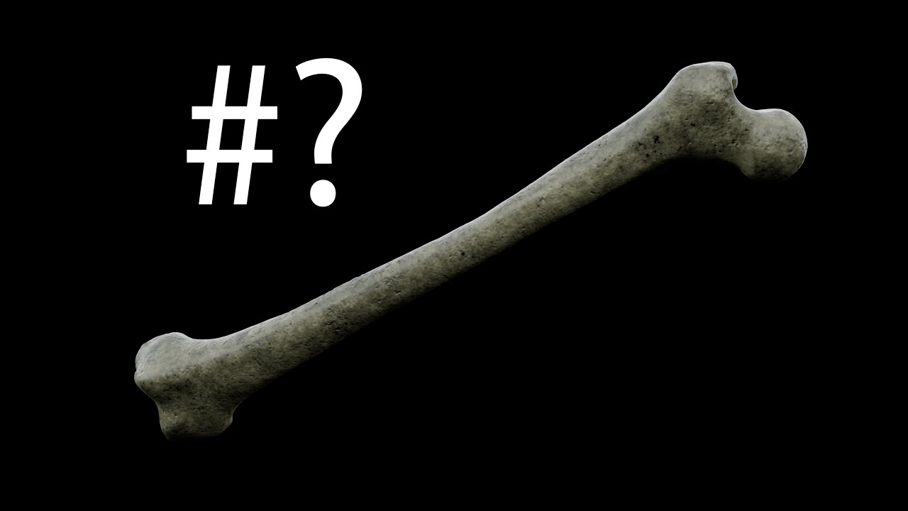 Hoeveel botten heeft een menselijk lichaam? YouTube Hoeveel botten heeft een menselijk lichaam? YouTube