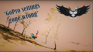 GoPro Hero 7 black with the wrong shutter speed settings make for an arty video