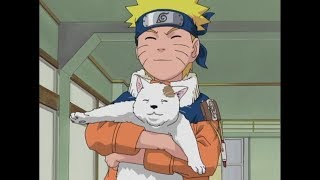 Ninja World Online- Крутим голду, берем кота за 60к + Чемпионат Ninja World Online- Крутим голду, берем кота за 60к + Чемпионат