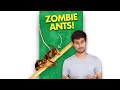 What is zombie fungus?