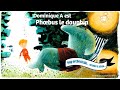 Les symphonies subaquatiques  phoebus le dauphin  dominique a  chanson pour enfants