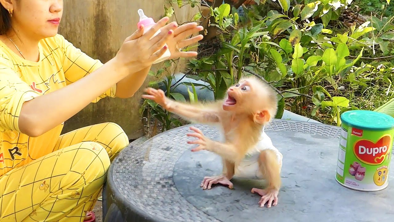 Oh. My. God!! Moly Run Cry Loudly Cannot Wait Mom Feed