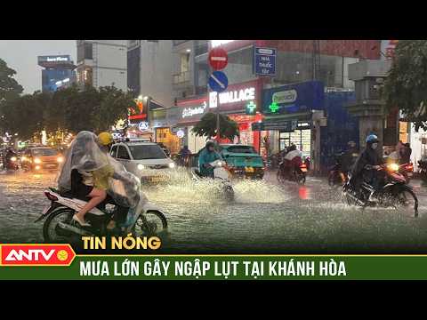 | ANTV