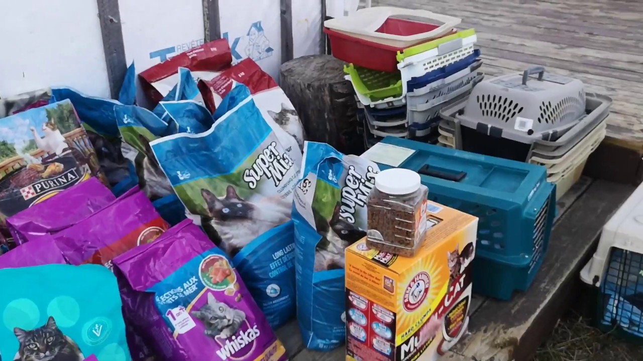 Cat Food Donation from Goose bay YouTube