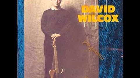 David Wilcox:  Bad Apple