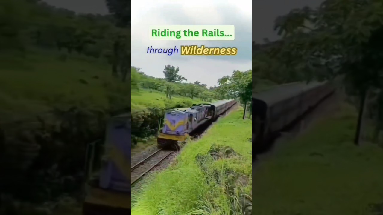 Riding the Rails through Wilderness 