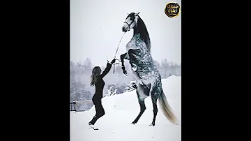 رفي بجناحك رفي اغنية ترند من زمن الجميل 