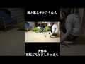 突撃猫#閃光のハサウェイ