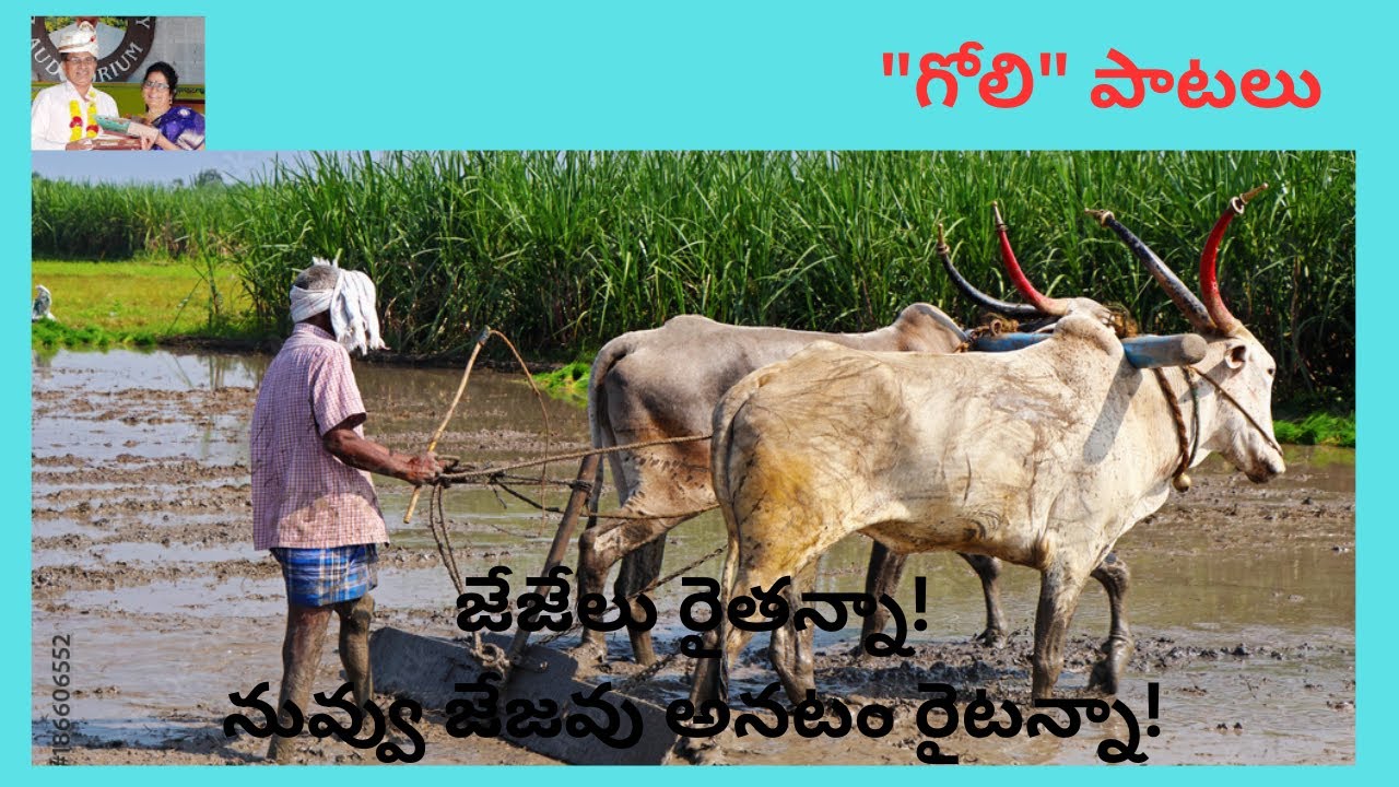 || జేజేలు రైతన్నా! || raitanna Song ||  national farmer's day || golisongs || golipatalu ||