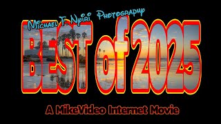 Best of 2025