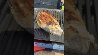 Газовый гриль Ice Cube GS-8 mini BBQ