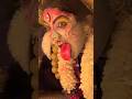 #kondapochammajathara #kalimaa #ckstudios #viral #shorts #kalimata #trending #bonalu