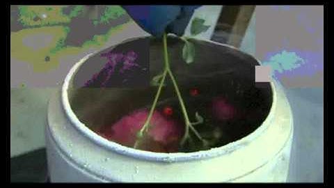 Cryogenics in action