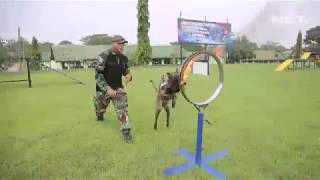 Latihan Polisi Militer