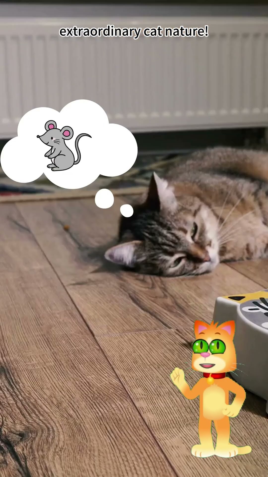 Why Do Cats Catch Mice 05 Kids Vocabulary Education And Fun Video Why Do Cats Catch Mice 05 Kids Vocabulary Education And Fun Video