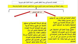فيديو مراجعة التنظيم العصبي  الحلقة الاولى