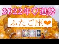 🌹2022年の運勢🌹ふたご座さん✨年間リーディング💖あなただからできる!!これまでの準備や経験を総動員して、世界に向けて羽ばたくとき💖【見たときがタイミング🥰】💖タロット💖オラクルカードリーディング💌