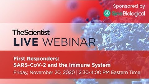 First Responders: SARS-CoV-2 and the Immune System