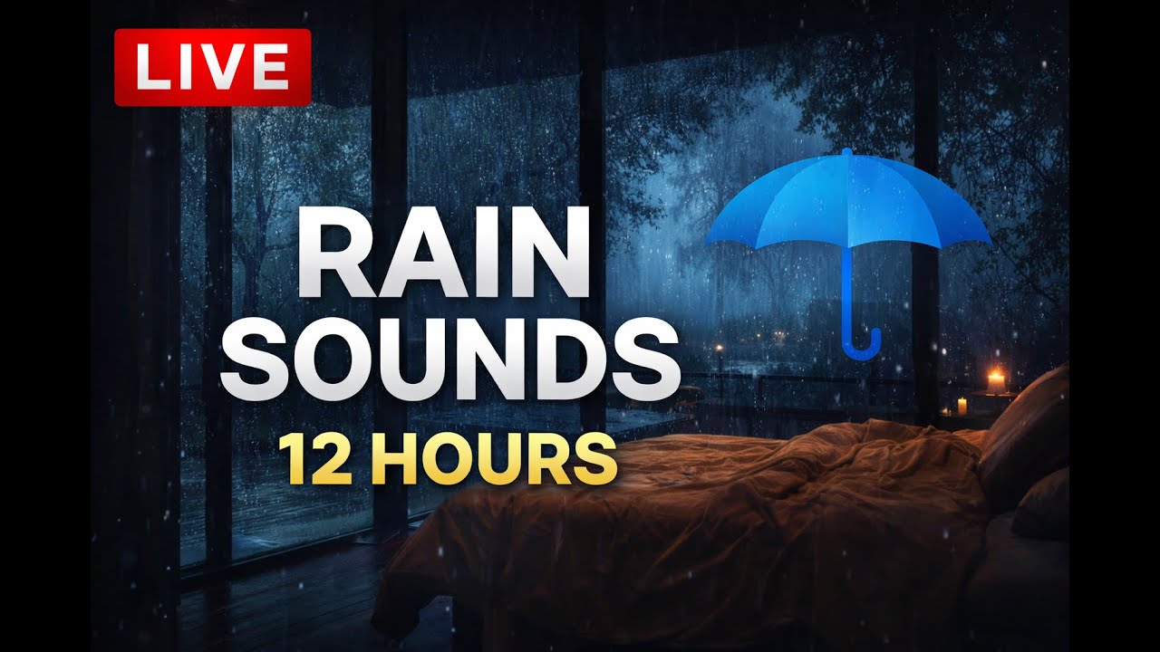 LIVE Rain Sounds 🌧️ Cozy Room | 12 Hours Deep Sleep & Relaxation