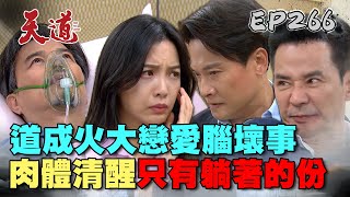 天道 EP266 完整版｜去去戀愛腦走！道成不爽瑞安珊珊壞事！肉體清醒太得意反落入布局｜FIGHT FOR JUSTICE｜【安美諾美白修護霜】