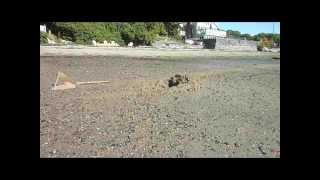 CQR vs Rocna - Hard Sand Setting Comparison