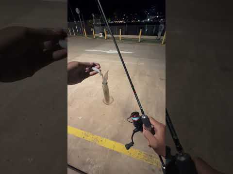 Viral Anak Kost Crot di Tangan #shorts #pemersatubangsa #viral