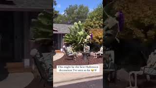 Pole Dancing Stripper Skeleton Halloween Decoration 😂 #shorts