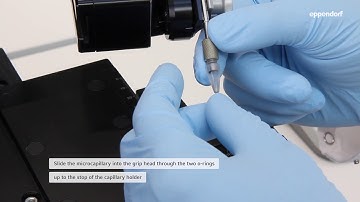 Easy microcapillary mounting - CellTram® 4 Oil