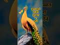 Yallo Colour S Khuda Mujhse Maa Ki Muhabbat Na Chheene Shortvideo Trending Yuotube Yallo Colour S Khuda Mujhse Maa Ki Muhabbat Na Chheene Shortvideo Trending Yuotube