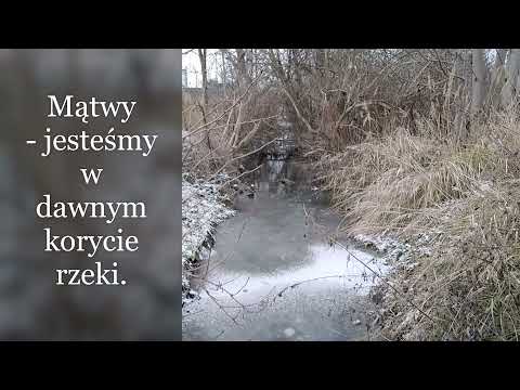 Inowrocław Mątwy -Dolina