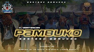DJ BANTENGAN‼️BANTENG SAMUDRO (PAMBUKO TARUNA SAKTI VERSION) RMXR ARPEDAM PROJECTS VOC MYTHA WINAHYU