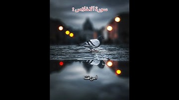 عظمة سورة الاخلاص #اكسبلور #القزابري #لايك #العظماء #دويتو #المصحف #تيك_توك #الرحمن #حالات_واتس #آية