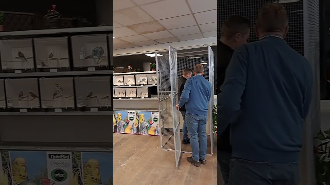 Tentoonstelling Vogellust Elst 2023