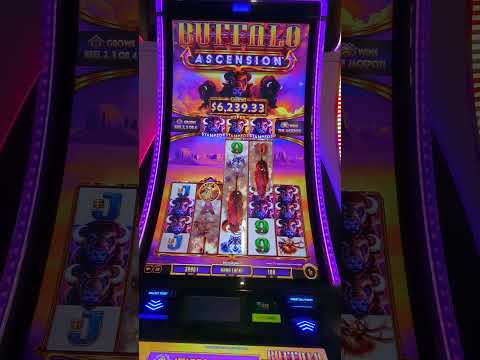 Hotel Pueblo Amigo y Casino Caliente por la Linea Internacional Tj San/Ysidro 26/12/2022