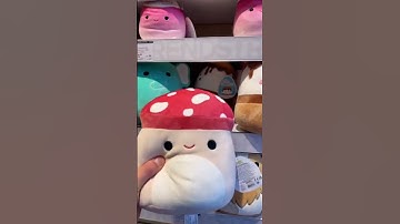WE FOUND RARE SQUISHMALLOWS