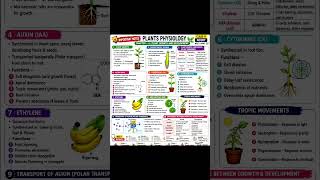 plant physiology# ncert # botany# important plant hormones # aiims # science very important topic