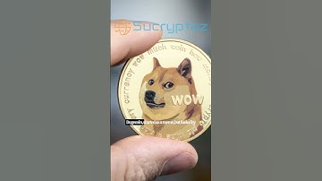 Beyond Bitcoin: The Most Popular Cryptos You Should Know