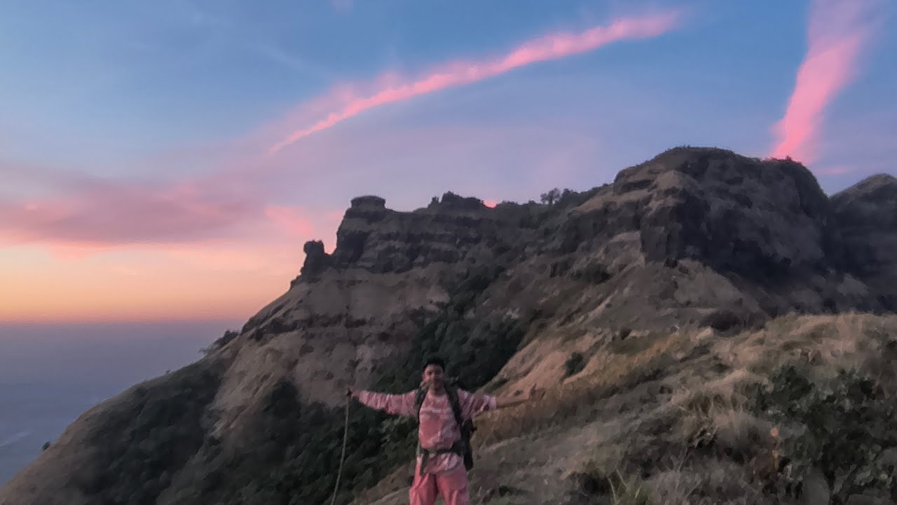 FULL TOUR OF FOREST TRAILS  DAY 1 - WELCOME TO THE JUNGLE