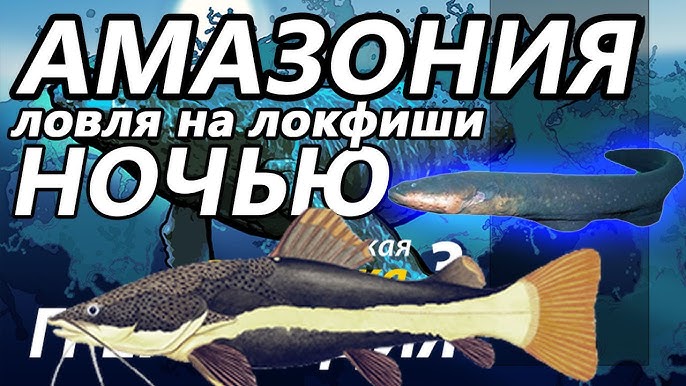 Русская рыбалка 3: Вуокса - карп | Информация и советы
