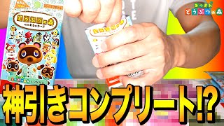 あつまれどうぶつの森 第5弾 コンプリート 48枚 あつ森 amiiboカード 第5弾 全48種類 コンプリート - メルカリ