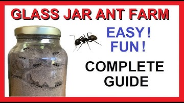 Easy Glass Jar Ant Farm - How to Make - Fun Easy Cheap Free - Complete Guide!