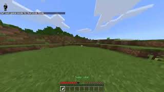 PocketMine 1.5 | Leaper Mineplex