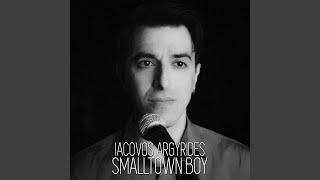 Small Town Boy (Cover)