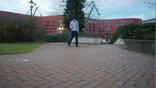 Phoenix feat. Dasho - Last Video in this year =D | Hard Sexion Addicted ♥