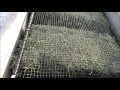 NEW Frame Slow Net Feeder