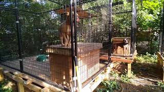 Empty Yard Day Accommodating My Neighbor