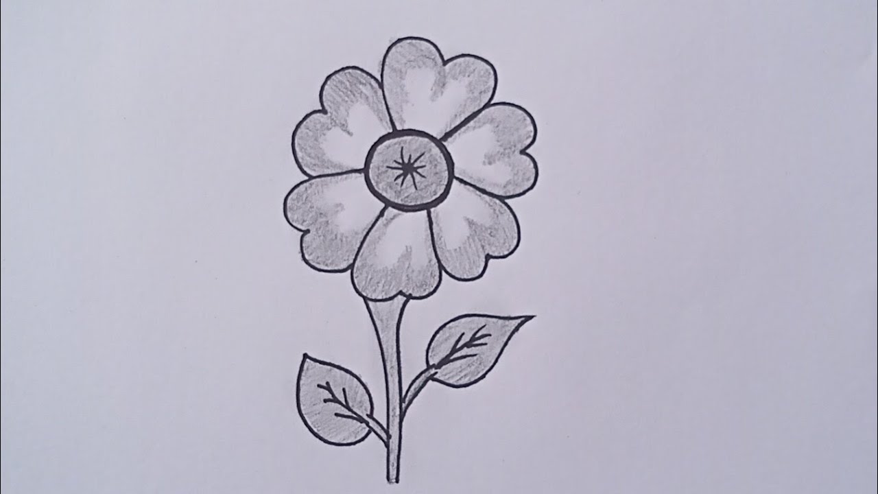 How To Draw Beautiful Flower With Pencil | New Drawing Easy ...